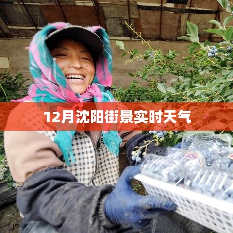 沈陽街景實時天氣實拍