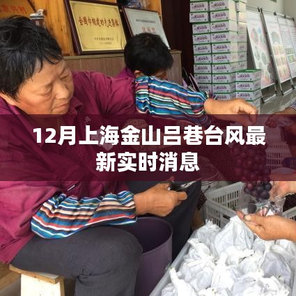 上海金山呂巷臺(tái)風(fēng)實(shí)時(shí)更新消息，最新動(dòng)態(tài)速遞