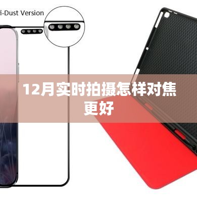 冬季拍攝技巧，如何優(yōu)化對焦提升照片質(zhì)量