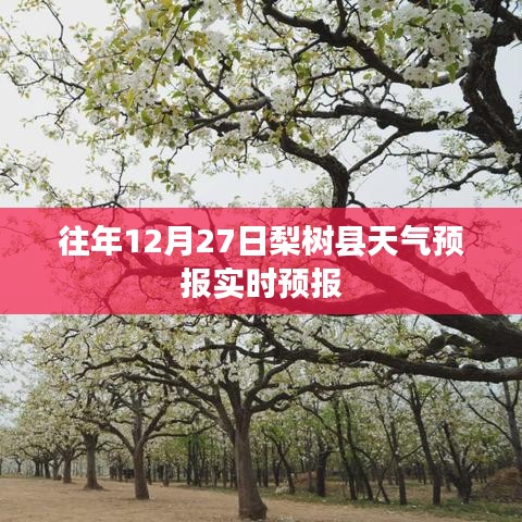梨樹縣天氣預(yù)報(bào)實(shí)時(shí)更新｜往年12月27日天氣預(yù)測(cè)