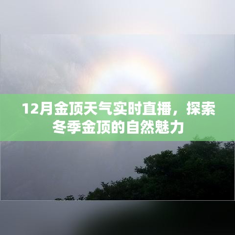 冬季金頂實時直播，探索自然魅力的絕佳之地