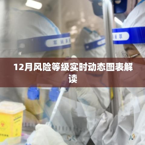 12月風(fēng)險(xiǎn)等級動態(tài)圖表解析