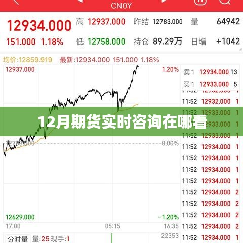 12月期貨實時咨詢查看指南