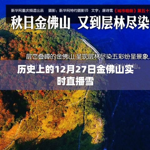 金佛山雪景直播回顧，歷史上的雪韻風(fēng)華