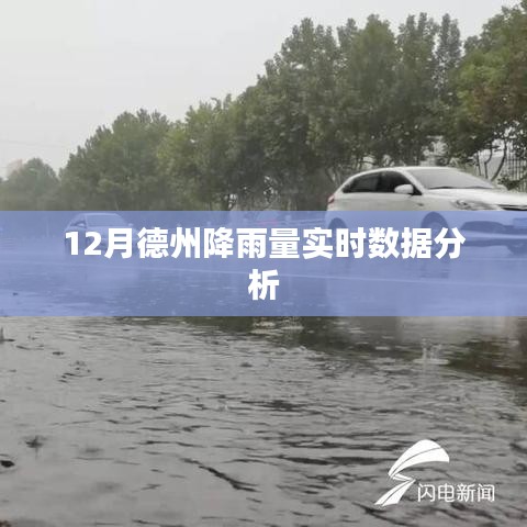 德州12月降雨量實(shí)時(shí)數(shù)據(jù)分析報(bào)告