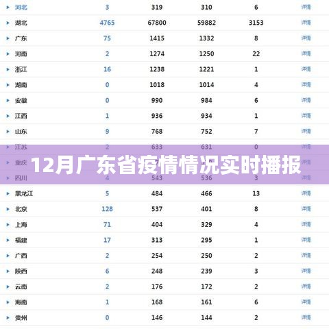 廣東疫情實時播報，最新數(shù)據(jù)解讀