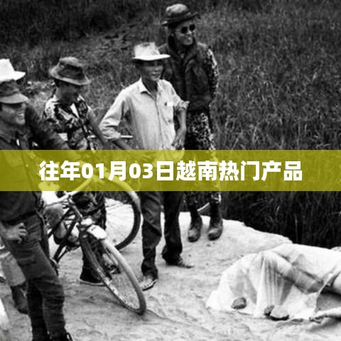 越南熱門產(chǎn)品概覽，歷年趨勢(shì)解析