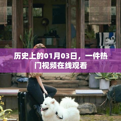 熱門視頻在線觀看，歷史上的今天，一月三日回顧