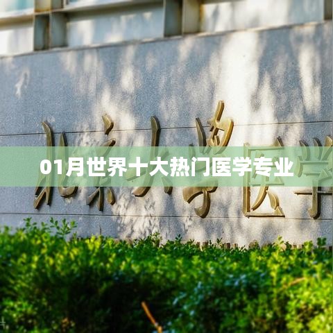 全球熱門醫(yī)學(xué)專業(yè)榜單揭曉，一月精選十大專業(yè)