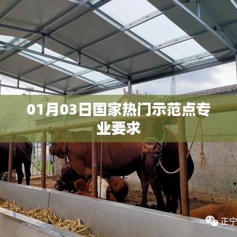 國家熱門示范點專業(yè)精選要求，01月03日解讀