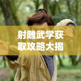 射雕武學(xué)獲取攻略大揭秘，最新秘籍，助你輕松掌握！