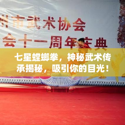 七星螳螂拳，神秘武術(shù)傳承揭秘，吸引你的目光！