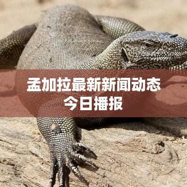 孟加拉最新新聞動(dòng)態(tài)今日播報(bào)