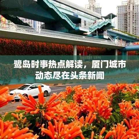 鷺島時(shí)事熱點(diǎn)解讀，廈門城市動(dòng)態(tài)盡在頭條新聞