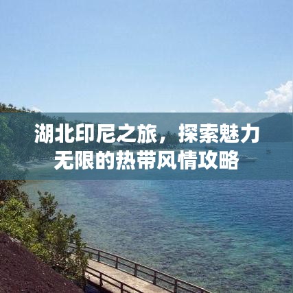 湖北印尼之旅，探索魅力無限的熱帶風情攻略