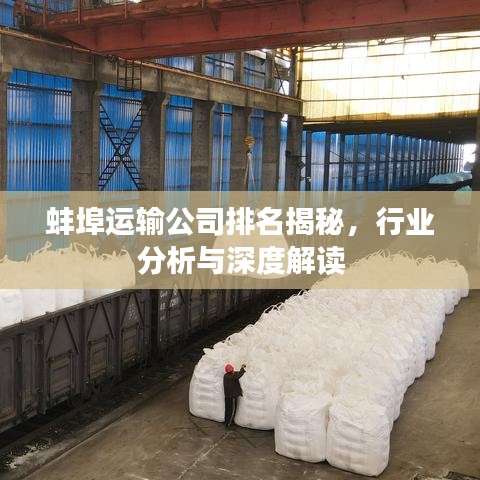 蚌埠運(yùn)輸公司排名揭秘，行業(yè)分析與深度解讀