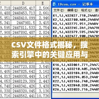 CSV文件格式揭秘，搜索引擎中的關(guān)鍵應(yīng)用與探究