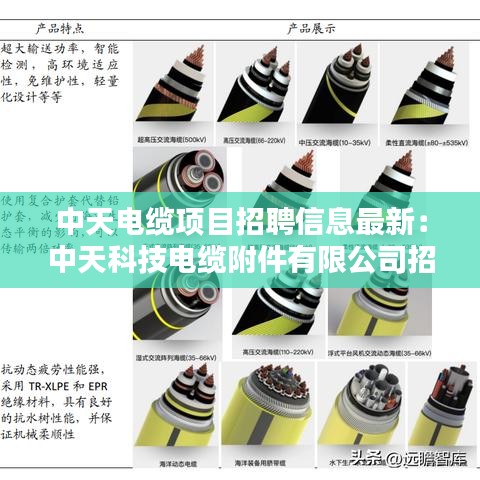 中天電纜項(xiàng)目招聘信息最新：中天科技電纜附件有限公司招聘 