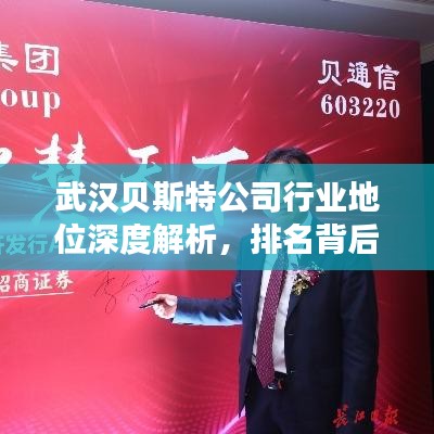 武漢貝斯特公司行業(yè)地位深度解析，排名背后的實(shí)力與策略觀察