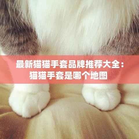 最新貓貓手套品牌推薦大全：貓貓手套是哪個地圖 
