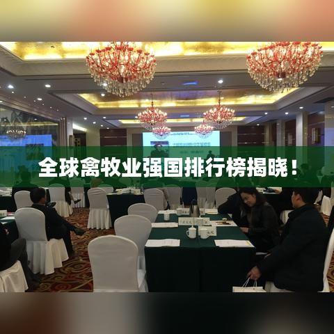 全球禽牧業(yè)強國排行榜揭曉！