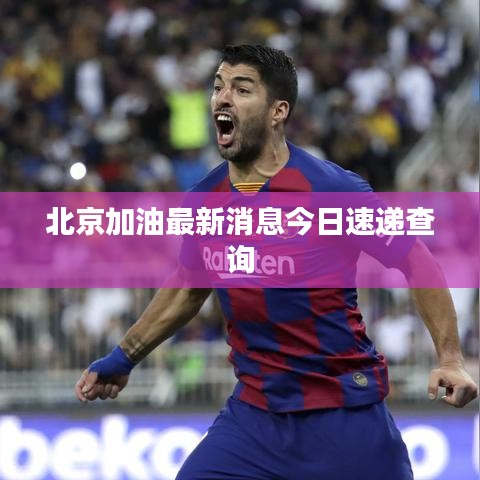 北京加油最新消息今日速遞查詢