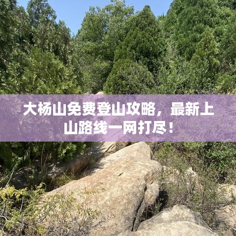 大楊山免費登山攻略，最新上山路線一網(wǎng)打盡！