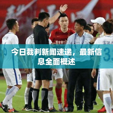 今日裁判新聞速遞，最新信息全面概述