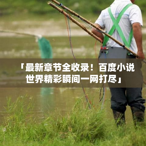 「最新章節(jié)全收錄！百度小說世界精彩瞬間一網(wǎng)打盡」