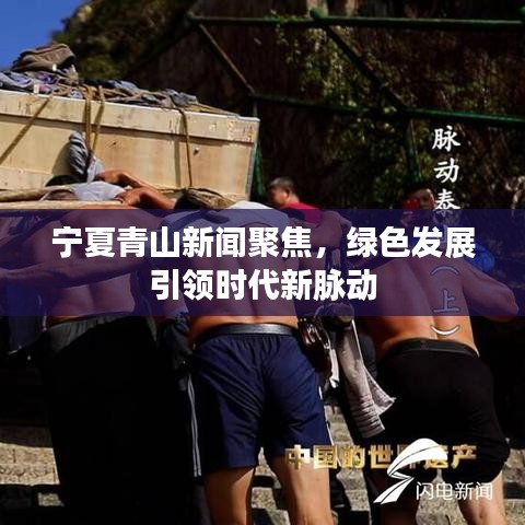 寧夏青山新聞聚焦，綠色發(fā)展引領(lǐng)時(shí)代新脈動(dòng)