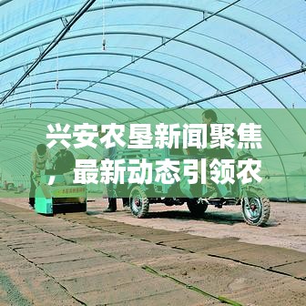 興安農(nóng)墾新聞聚焦，最新動態(tài)引領(lǐng)農(nóng)墾事業(yè)發(fā)展之路