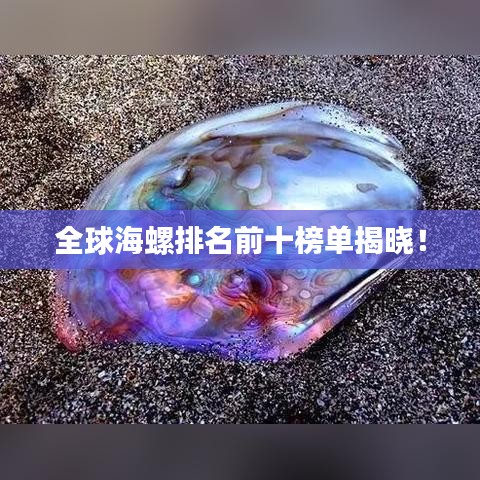 全球海螺排名前十榜單揭曉！