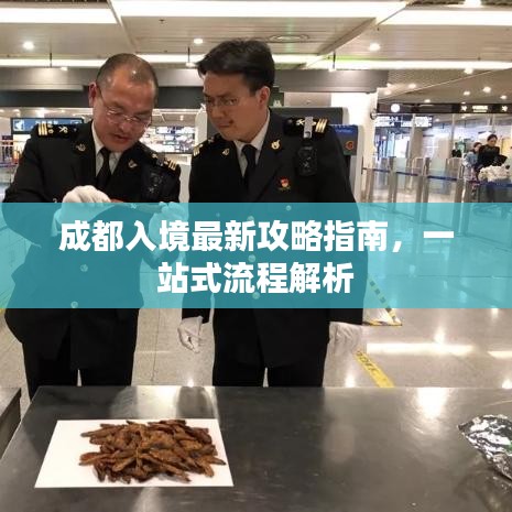 成都入境最新攻略指南，一站式流程解析