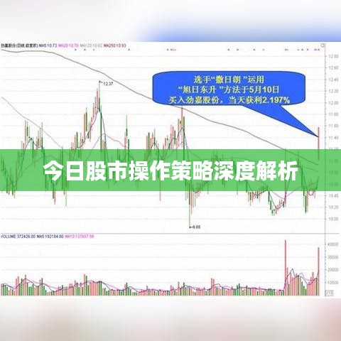 2025年2月4日 第2頁