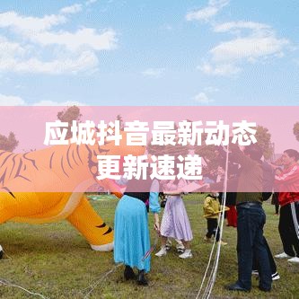 應城抖音最新動態(tài)更新速遞
