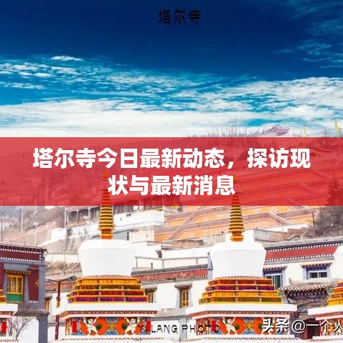 塔爾寺今日最新動態(tài)，探訪現(xiàn)狀與最新消息