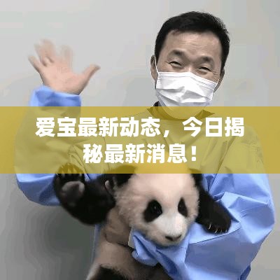 愛寶最新動(dòng)態(tài)，今日揭秘最新消息！