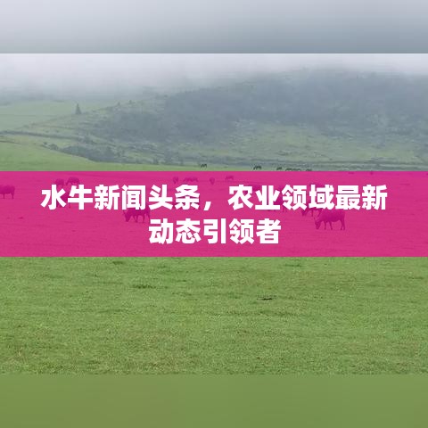 水牛新聞頭條，農業(yè)領域最新動態(tài)引領者