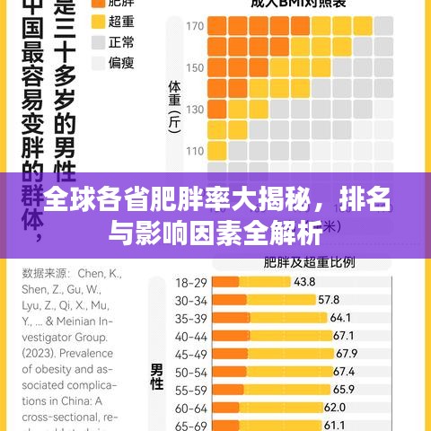 全球各省肥胖率大揭秘，排名與影響因素全解析