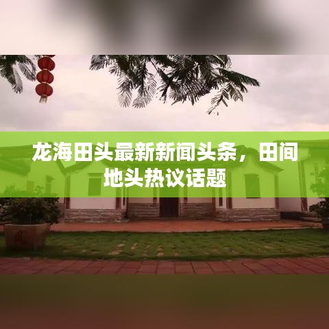 龍海田頭最新新聞?lì)^條，田間地頭熱議話題