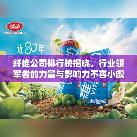 纖維公司排行榜揭曉，行業(yè)領(lǐng)軍者的力量與影響力不容小覷