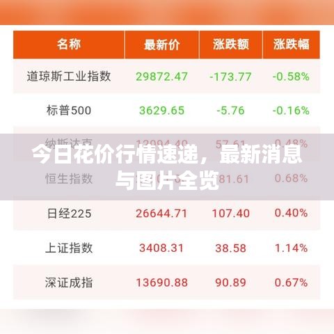 今日花價(jià)行情速遞，最新消息與圖片全覽