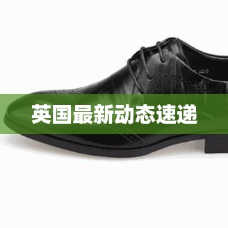 英國(guó)最新動(dòng)態(tài)速遞
