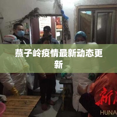 燕子嶺疫情最新動(dòng)態(tài)更新
