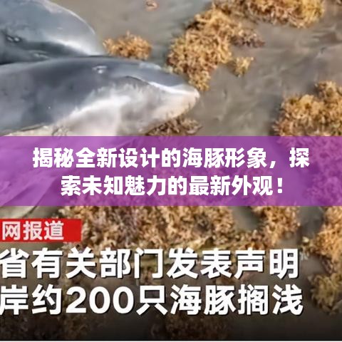 揭秘全新設(shè)計(jì)的海豚形象，探索未知魅力的最新外觀！