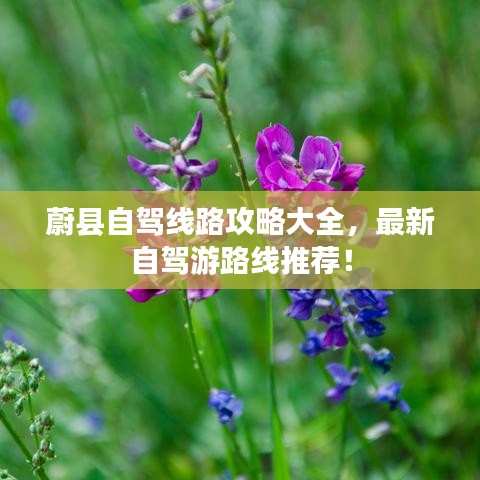 蔚縣自駕線路攻略大全，最新自駕游路線推薦！