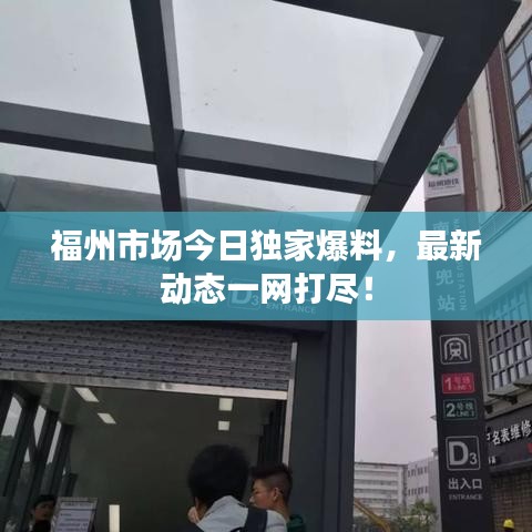 福州市場今日獨(dú)家爆料，最新動態(tài)一網(wǎng)打盡！
