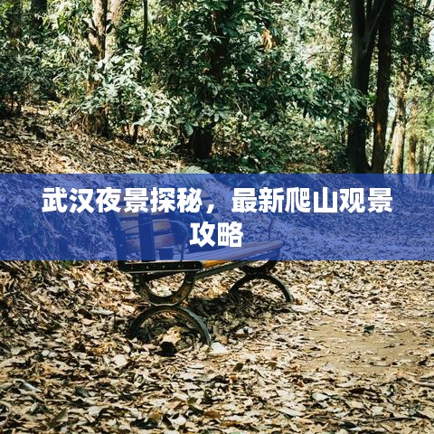 武漢夜景探秘，最新爬山觀景攻略