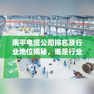 南平電纜公司排名及行業(yè)地位揭秘，誰是行業(yè)佼佼者？