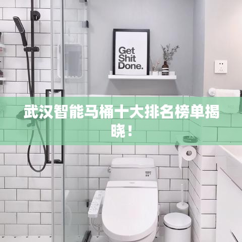 武漢智能馬桶十大排名榜單揭曉！
